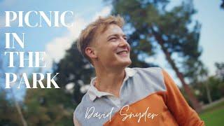 David Snyder - "PICNIC IN THE PARK" - Visualizer