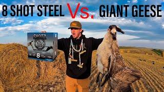 WILL 8 SHOT TAKE DOWN GIANT GEESE???