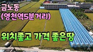 0840 영천시내 10분거리 반듯한 이쁜 영천땅