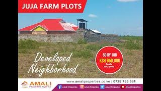 JUJA FARM PRIME RESIDENTIAL PLOTS FOR SALE. 50 BY 100 SELLING AT KSH 650,000.