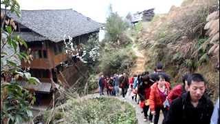 CHINA: Guǎngxī - Lóng​shèng​ Rice Terraces (龙胜梯田)