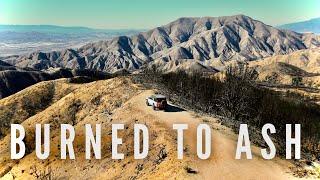 FIRST TIME Driving Through a BURNED FOREST in My 4x4