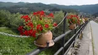 Pretty Little Bridge in a Serbian Village...