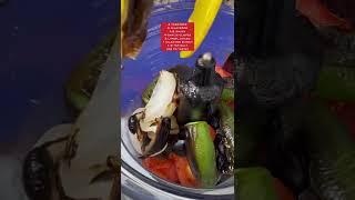 The EASIEST Roasted Salsa ️ #freddsters #foodie #cooking #recipe #salsa #carneasada #mexican