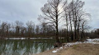 Wolf Bayou Unit of Black Island Conservation Area, Feb 4, 2023