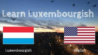 Learn before Sleeping - Luxembourgish (native speaker)  - without music