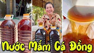 Cùng Mẹ Em Phúc Làm Mắm Cá Đồng Thơm Lừng Cả Xóm | Phúc Nhọn