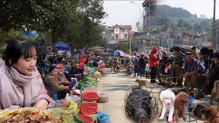 SHOCK! Bac Ha Market – Where Unique Dogs and Many Rare Wild Herbs Are Sold