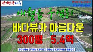 116. [제주도토지] 애월해안도로 인근 구엄리 고지대 마루턱에 위치하여 바다뷰가 환상적으로 나오는 전원주택부지 & 펜션부지ㅣ광개토왕공인중개사 010-6232-6260