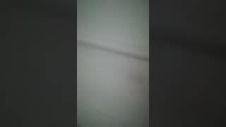 злой карась