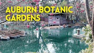 Auburn Botanic Gardens 4K | August 2024 | Sydney, Australia