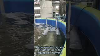 Above ground big size inflatable pool for aquaponic farming