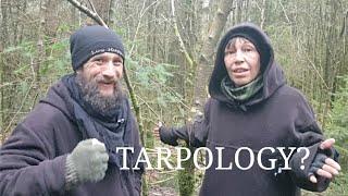 The BEST tarp setup for YOU! - UK  Nomad style