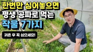 한번만 심어놓으면 평생 공짜로 먹는 작물 7가지ㅣ딱 한번 심고 평생 먹는 작물 7가지 추천ㅣ재배가 쉬운 작물 #고소득작물#봄나물#텃밭#시골#귀농귀촌#전원주택#전원생활#시골부부