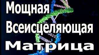 Попробуйте послушать в течение 15 минут, сразу подействует ️ Мощная Всеисцеляющая Матрица Гаряева