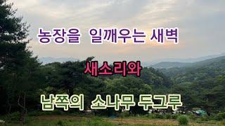 농장의 아침을 여는 아름다운 새소리들...