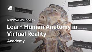 Learn Human Anatomy in Virtual Reality | Free Download