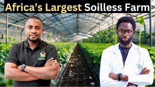 Meet the Owner of Africa's Largest Soilless Farm, Empowering Nigeria's Youth!