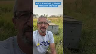 Bees Are Critical • Idaho • Back Forty Farms