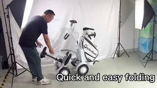 Quality single seater 48V off road electric golf scooter low price club car golf cart