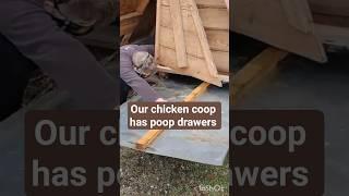 We only clean the chicken coop every two months. Check this clever system. #chickencoop