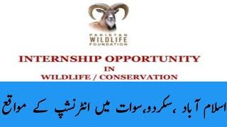 Wildlife Foundation paid internships in Islamabad AJK Gilgit Swat Chitral