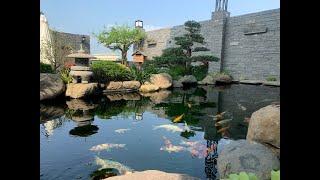 Enchanting rooftop oasis turns out to be an urban garden | KOJI LANDSCAPE