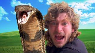 Chandler's Wildlife Exposed - How Fake Content / Live Feeding Banned Reptiles