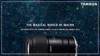 The Magical World of Macro - Captured with the TAMRON 90mm F/2.8 Di III Macro VXD (Model F072)