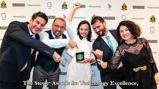 About the Stevie® Awards