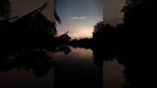 Just before morning #shortvideo #islamicshort #nature #servantofallah