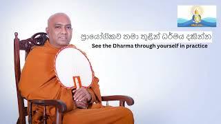 දම්සක් අරණ දහම් සෙවණ (Damsak Arana Daham Sevana)