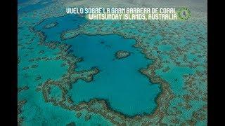 Australia 2018: Gran Barrera de Coral en Whitsunday Islands