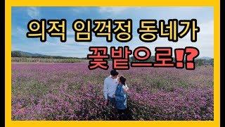 [또니혀니의 포천여행vlog] - 꽃구경 추천여행지 고석정꽃밭 Goseokjeong Pavilion