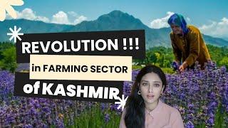 Farming Revolution in J&K | How Agriculture Reforms Changed Farmer's Life in Jammu Kashmir