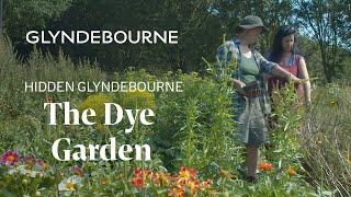 Hidden Glyndebourne: the dye garden