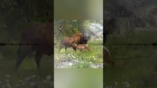 Hunting "Wood Bison - Way Of The Hunter  - Hunting Clash #animals #hunting #gaming