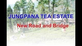 Jungpana Tea Estate (New Road), Darjeeling, West Bengal India