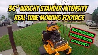 36" WRIGHT STANDER INTENSITY REAL TIME MOWING | OVERGROWN LAWN