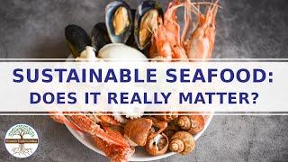 Sustainable Seafood Movement - Is Sustainable Seafood Important - Ocean Conservation  Overharvesting