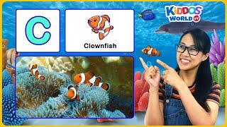 ABC Sea Animals Names A-Z for Children - Learn Alphabet with Miss V and Sea Animal Trivia