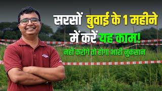 सरसों की खेती 2024 |  Mustard Farming |  सरसों की खेती कब और कैसे करें  #agrostar #sarso