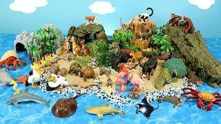 Island Diorama with Land and Sea Animal Figurines