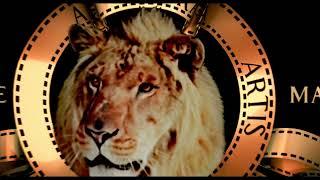 Metro-Goldwyn-Mayer (2012)