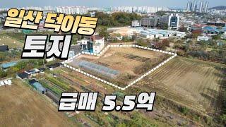 고양경제자유구역 內 토지 급매가 5억5,000만원