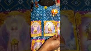 Pick any one card and see Angel's message  For your  carrier  . #tarot #card #angelmessages