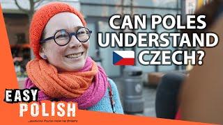 Can Poles Understand Czech? | Easy Polish 196