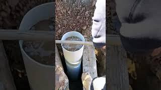 Irrigation well drilling