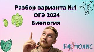 Разбор Рохлов ОГЭ Биология 2024 1 Вариант