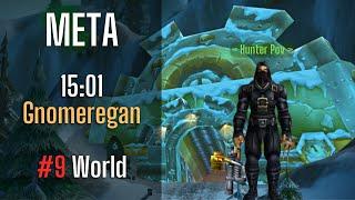 META 15:01 Gnomeregan Speedrun Hunter POV #9 WORLD